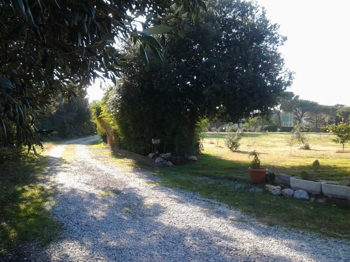 Appartamento In Villa Di Judighes Cerveteri Ngoại thất bức ảnh